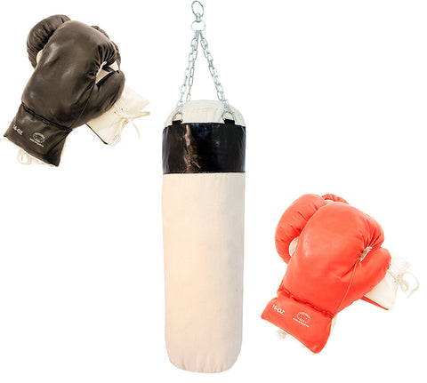 Brand New 2 Pairs of Boxing Gloves With Punching Bag