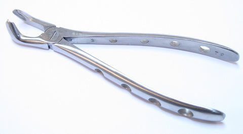 Stainless Steel Extracting Forceps 79 1pc Dental Instrument